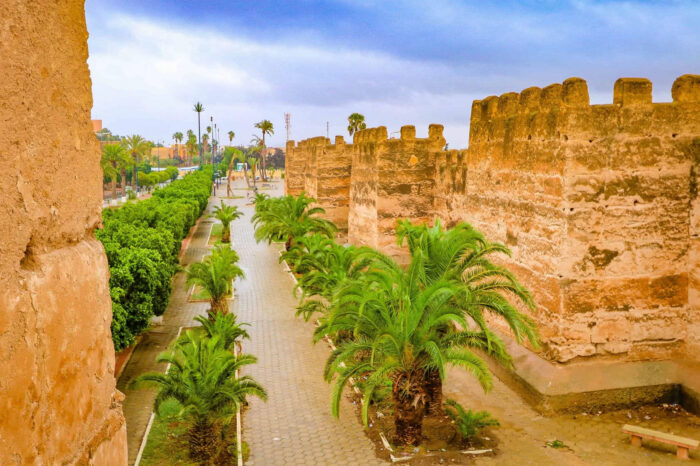 TAROUDANT & TIOUT GUIDED DAY TRIP