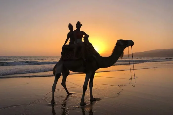 CAMEL RIDE IN SUNSET TIME WITH DINNER